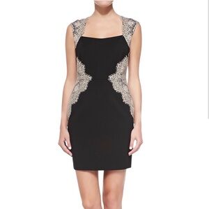 SALE! NWOT ERIN Erin Fetherston Shelby Lace Appliqué Dress Black/Taupe size 10